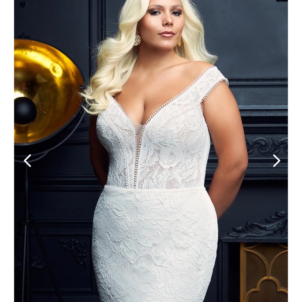 Paloma Blanca - #4976 - Picture 2 of 3